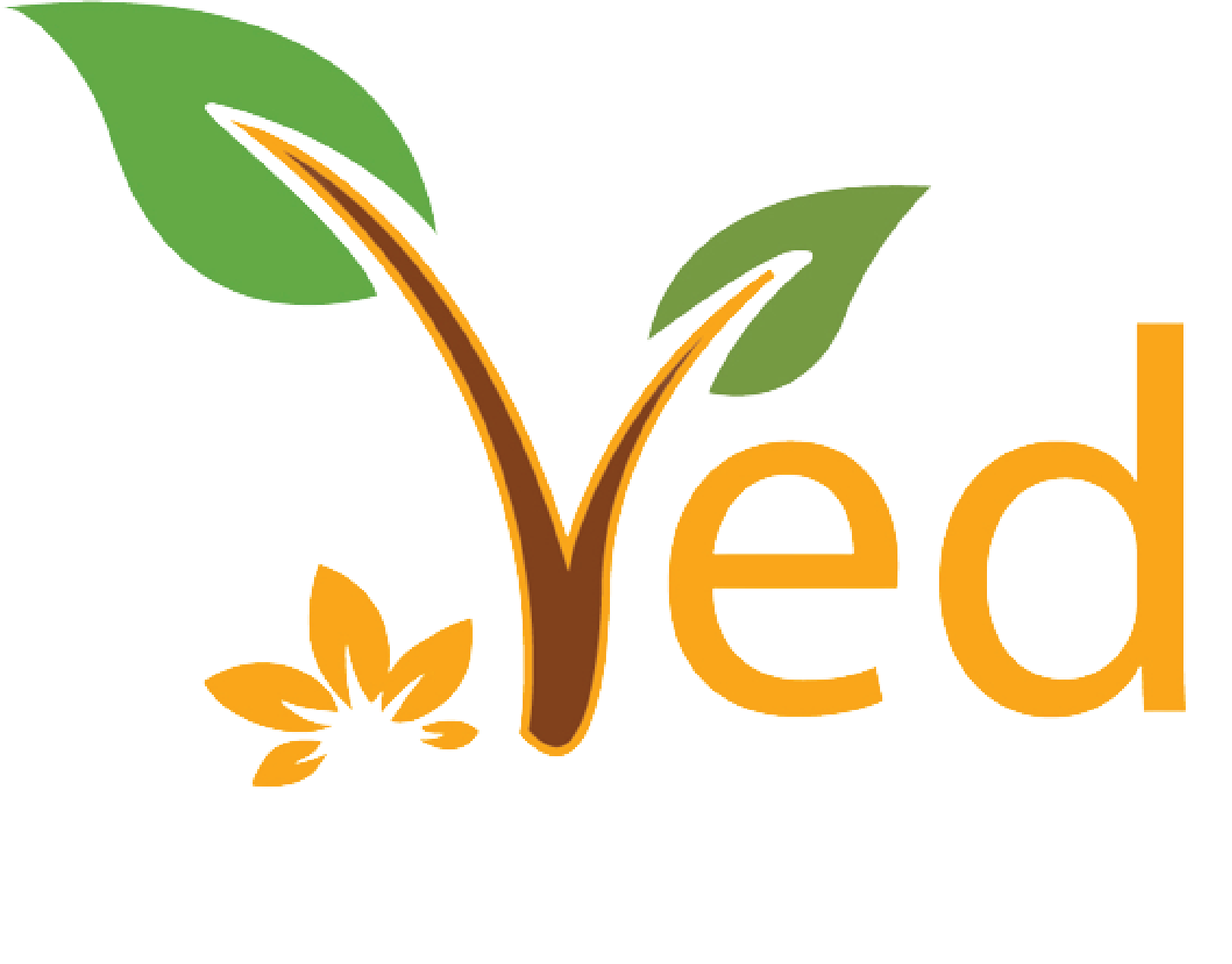 Logo Ved Healthcare Ltd